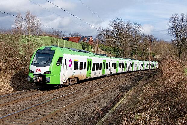 13.2.24 Recklinghausen Holzheide - ruhiger Nachmittag