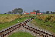 2010-112025 Langeoog InselbahnLangeoog