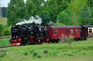2015-06-06_024 Oberharz Stiege 99 7243