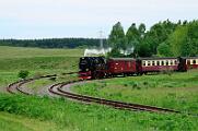 2015-06-06_025 Oberharz Stiege 99 7243