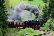 2015-06-06_086 Oberharz Sorge 99 7240
