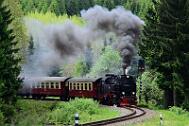 2015-06-06_087 Oberharz Sorge 99 7240