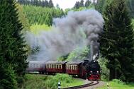2015-06-06_088 Oberharz Sorge 99 7240