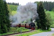 2015-06-06_089 Oberharz Sorge 99 7240