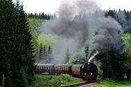2015-06-06_090 Oberharz Sorge 99 7240