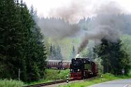 2015-06-06_091 Oberharz Sorge 99 7240