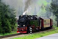 2015-06-06_092 Oberharz Sorge 99 7240