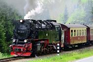 2015-06-06_093 Oberharz Sorge 99 7240