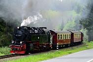 2015-06-06_094 Oberharz Sorge 99 7240