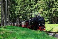 2015-06-06_097 Oberharz Sorge 99 7240