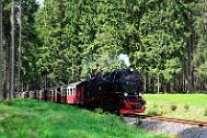 2015-06-06_098 Oberharz Sorge 99 7240