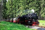 2015-06-06_099 Oberharz Sorge 99 7240