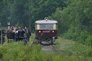 2016-06-12-004 Balve Binolen Schweineschnäuchen beim Schienenbus-Treffen