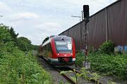 2016-06-28-006 Dortmund Marten 640 029