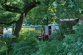 2019-07-23-009 Dortmund Hafen DE 24 und DE 804 sind frontal zusammen gestoßen.
