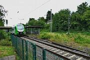2020-06-28-016 Witten Bommern 3429 005