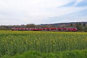 2021-04-24-123 Wickede Echthausen 644018 (li), 644 034 (re)