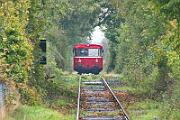 2021-10-17-075 Süderbrarup 798 308 und 798 309 der Angelner Dampfeisenbahn auf Sonderfahrt.