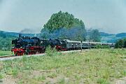 24 009 - 1985-05-008 Sundern Stemel