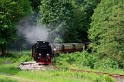 99 7240 - 2015-06-06_067 Harztor Eisfelder Talmühle