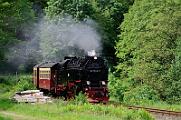99 7240 - 2015-06-06_068 Harztor Eisfelder Talmühle