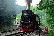99 7240 - 2015-06-06_081 Harztor Eisfelder Talmühle
