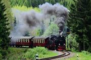 99 7240 - 2015-06-06_087 Oberharz Sorge
