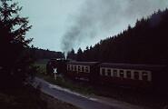 99 7245 - 1990-x005404 Oberharz Sorge