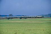 218 149 - 1987-36-036 Balve