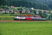 218 299 - 1988-64-093 Baiersbronn