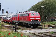 218 397 - 2023-07-19-064 Sylt Tinnum
