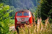 218 466 - 1988-65-035 Breitnau Posthalde