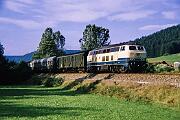 218 482 - 1988-64-076 Baiersbronn
