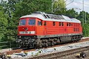 232 609 - 2020-07-11-107 Nürnberg Dutzendteich