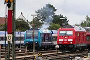 245 024 - 2023-07-19-095 Sylt Tinnum