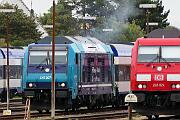 245 024 - 2023-07-19-096 Sylt Tinnum