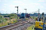 245 205 - 2025-08-18-042 Emmelsbüll Lehnshallig 245 205 nach Westerland.