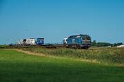 251 003 - 2025-08-18-064 Emmelsbüll Lehnshallig 251 003 nach Niebüll.