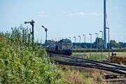 251 003 - 2025-08-18-107 Emmelsbüll Lehnshallig 251 003 kommt aus Niebüll zurück.