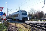 460 006 - 2025-03-02-019 Bornheim Sechtem 460 006