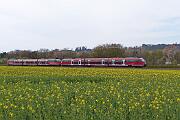 644 011 - 2021-04-24-118 Wickede Echthausen