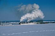 1986-20-036 Anröchte Uelde Sonderfahrt mit 38 1772 und 24 009 nach Warstein