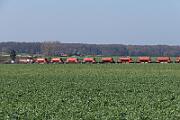 WLE 56 - 2021-03-31-157 Anröchte Uelde